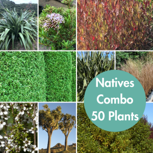 Native Combo 50 Plants